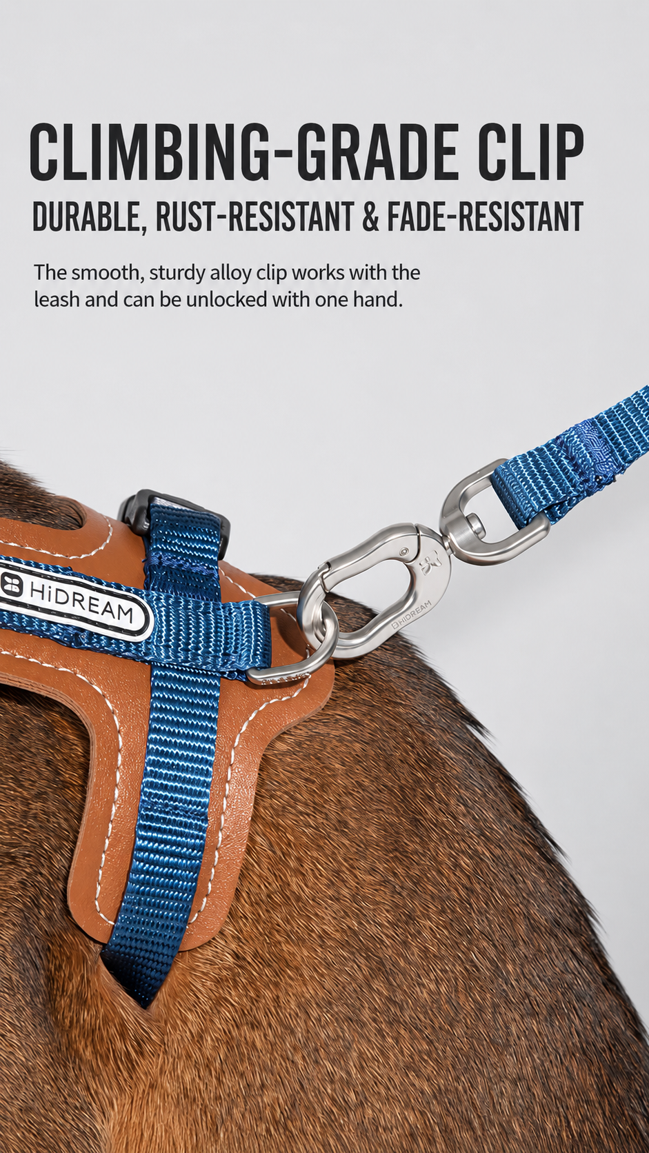 Cat Harness & Leash Set
