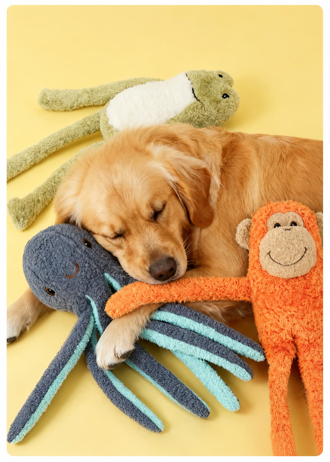 Plush Squeaky Dog Toy
