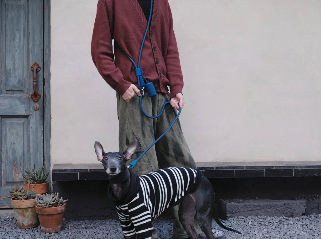 4in1 Dog Leash Freehand Adjustable Crossbody Hip Set
