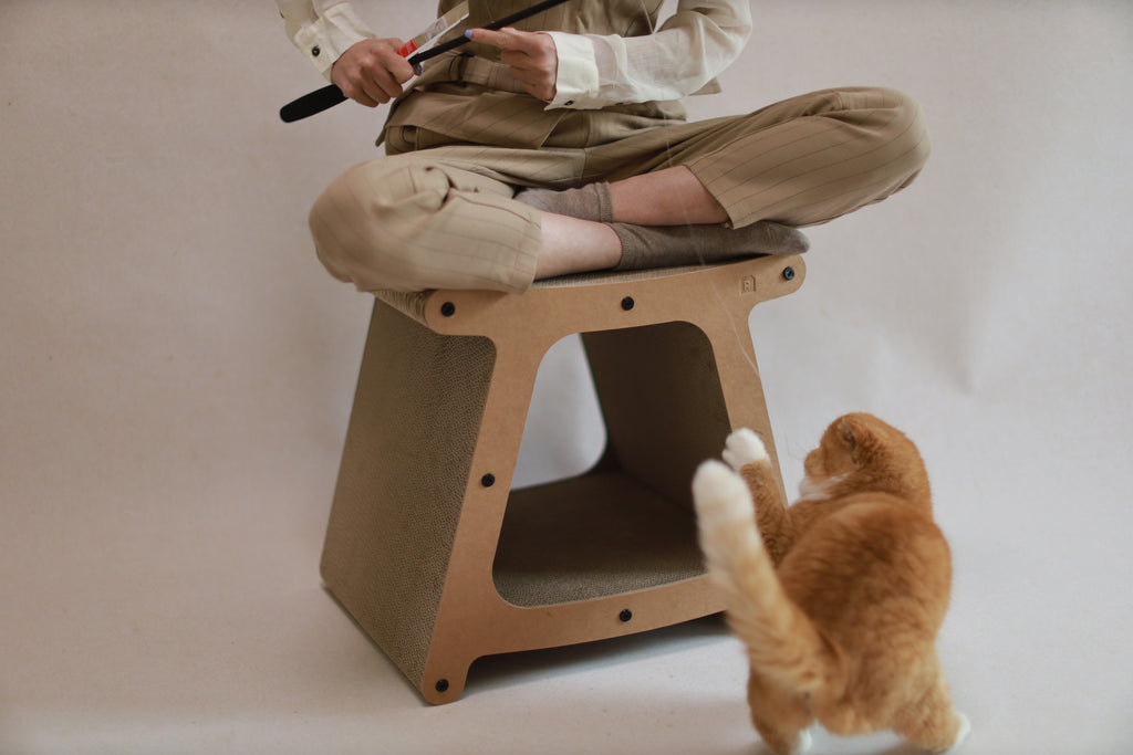 3-in-1 Sustainable Cat House & Scratch