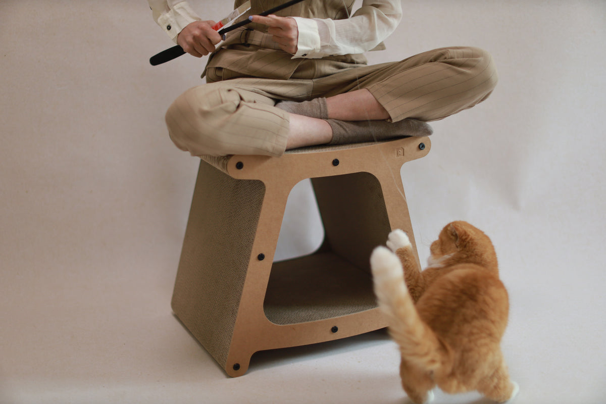3-in-1 Sustainable Cat House & Scratch