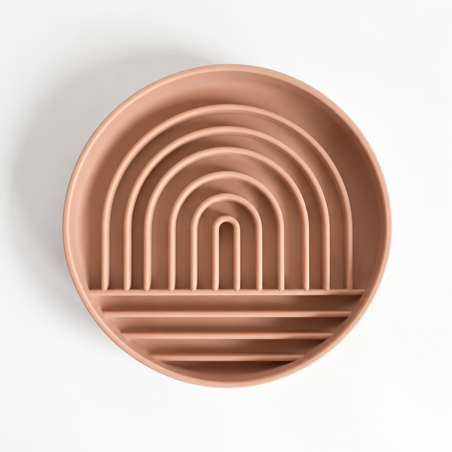 Rainbow Slow Feeder Bowl