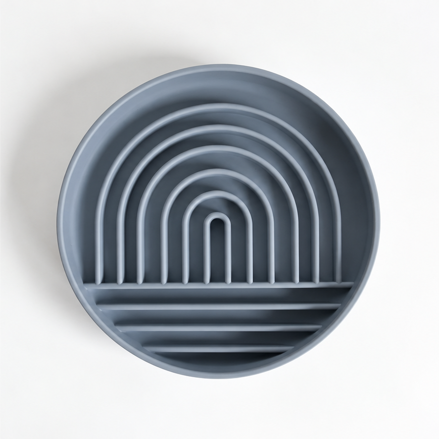 Rainbow Slow Feeder Bowl