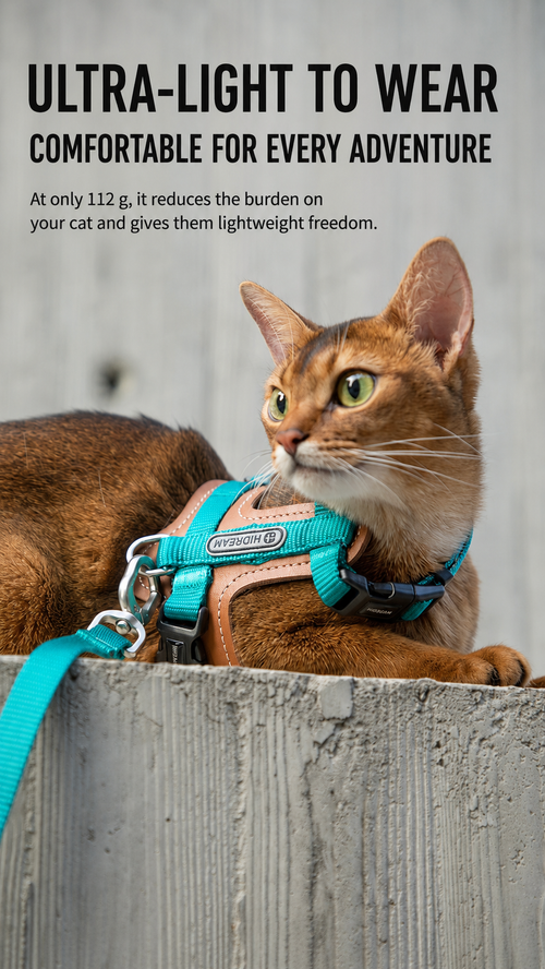 Cat Harness & Leash Set