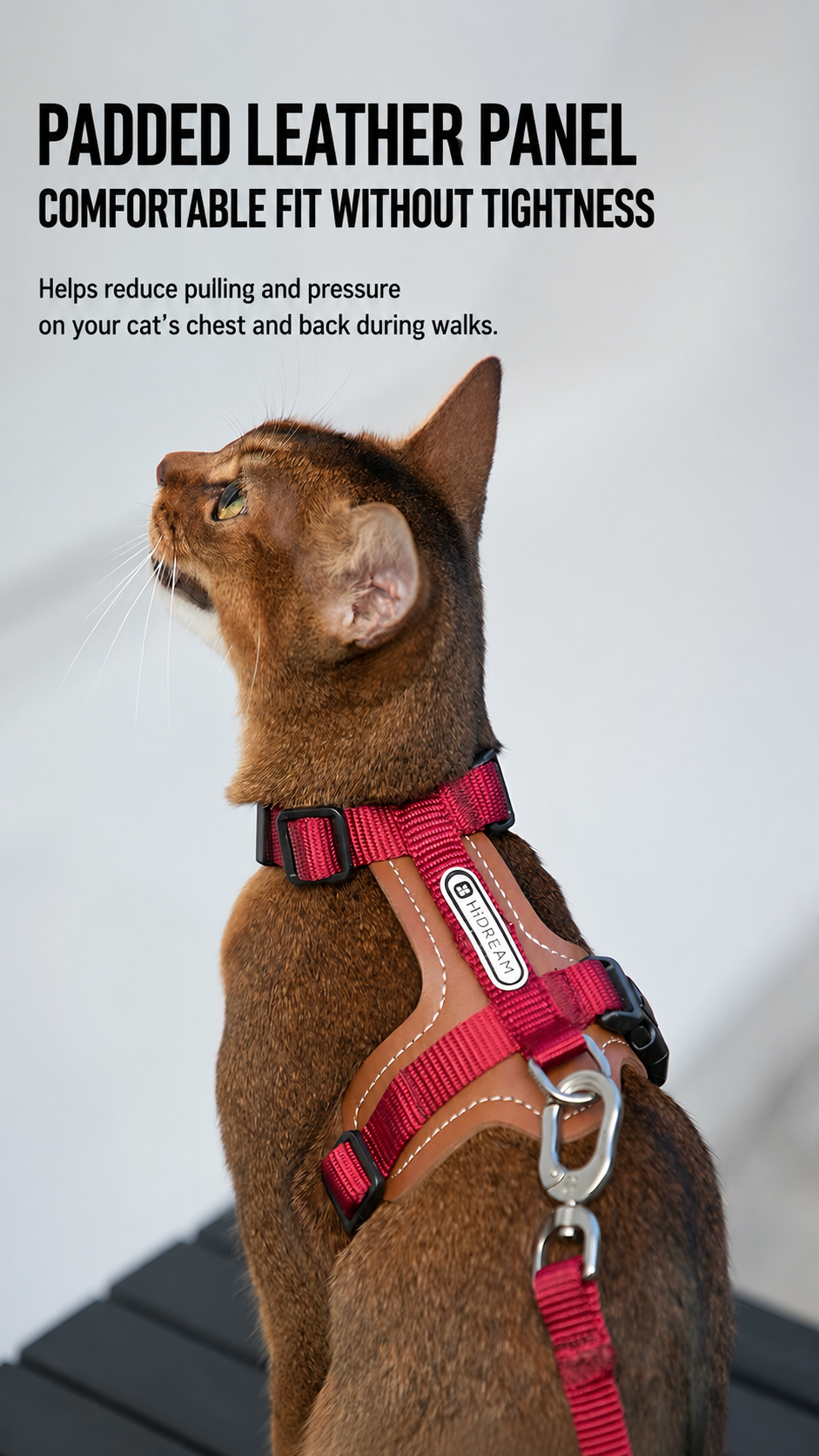Cat Harness & Leash Set