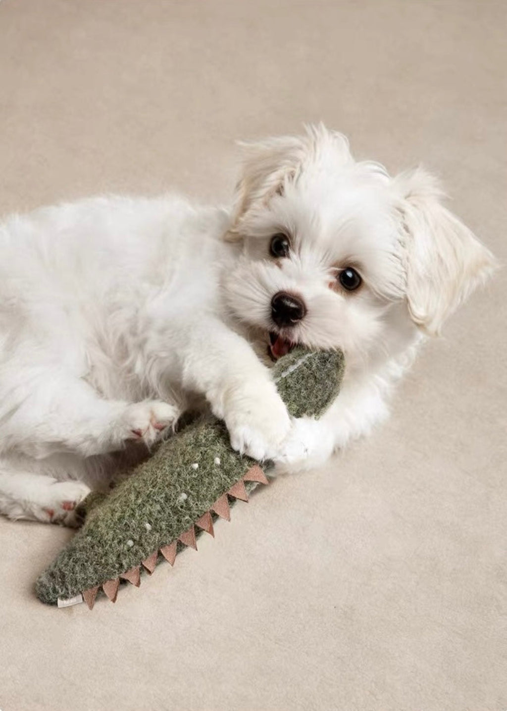 Comfort Plush Squeaky Toy