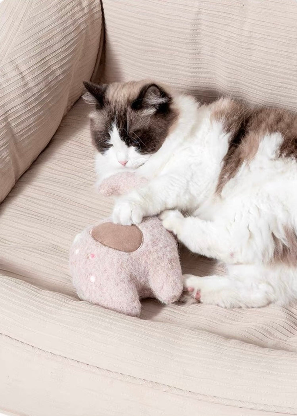 Comfort Plush Squeaky Toy