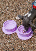 Shell-Shaped Foldable Double Pet Bowl