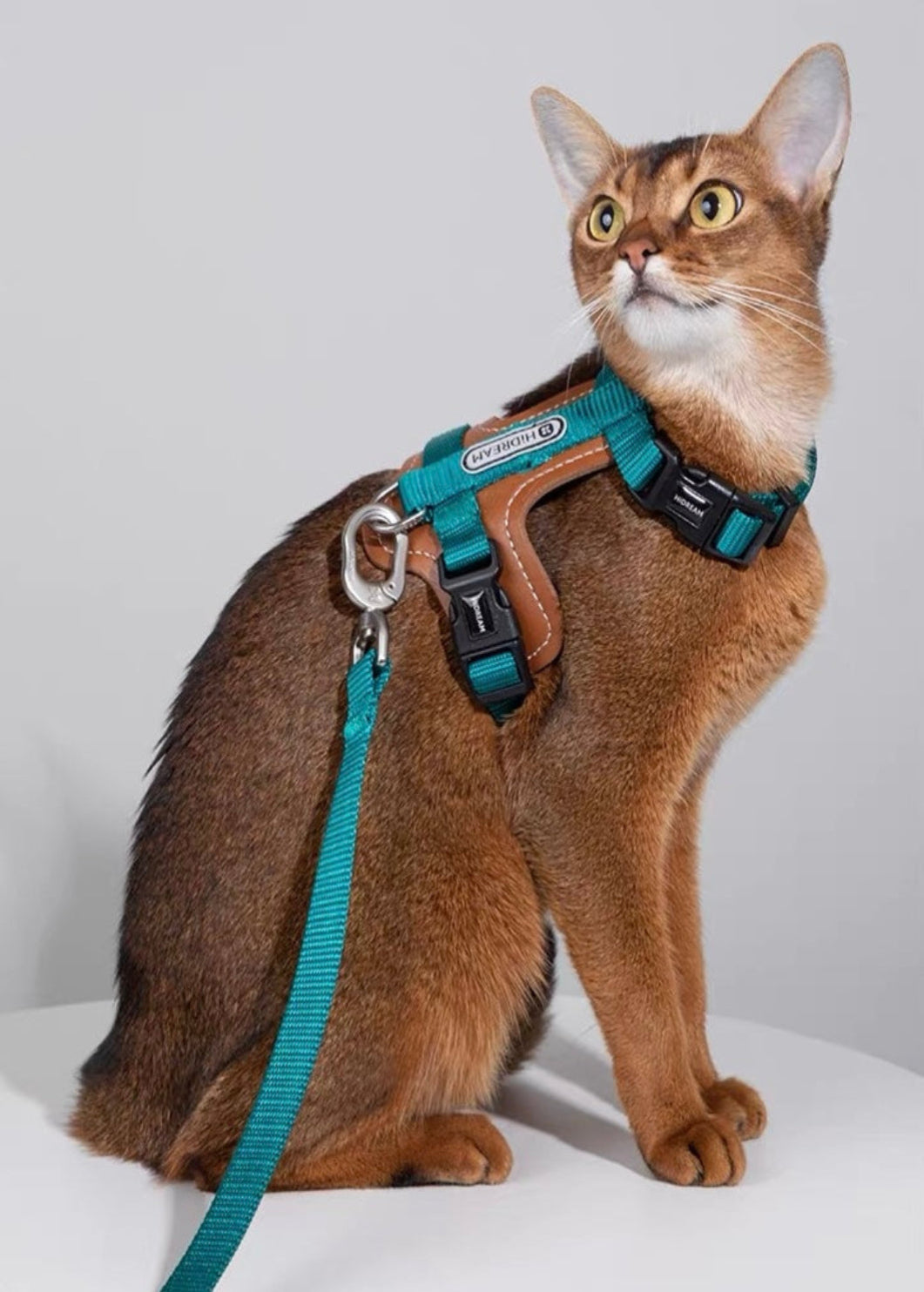 Cat Harness & Leash Set