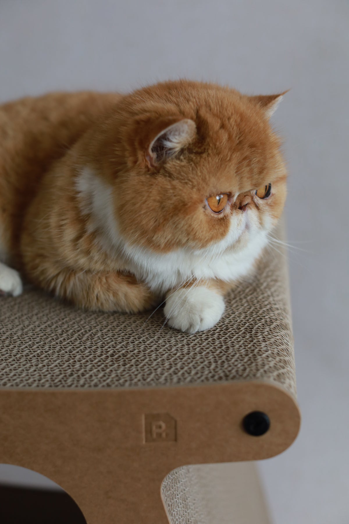 3-in-1 Sustainable Cat House & Scratch